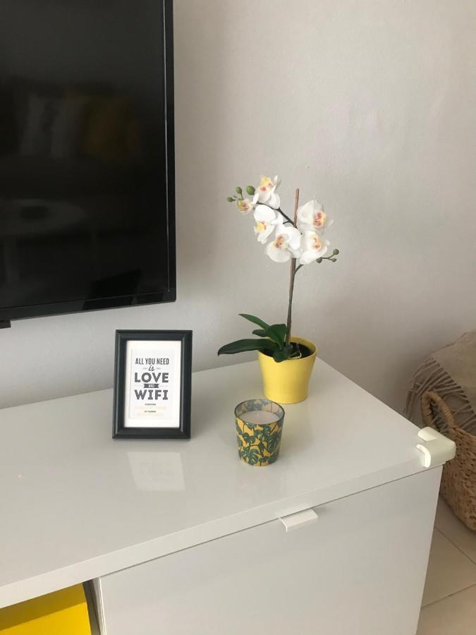 Designer'S Flat - 3 Bdrm - Wifi - Best Location Alicante Extérieur photo